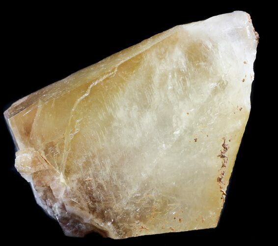 Golden, Dogtooth Calcite Crystal - Morocco #50178